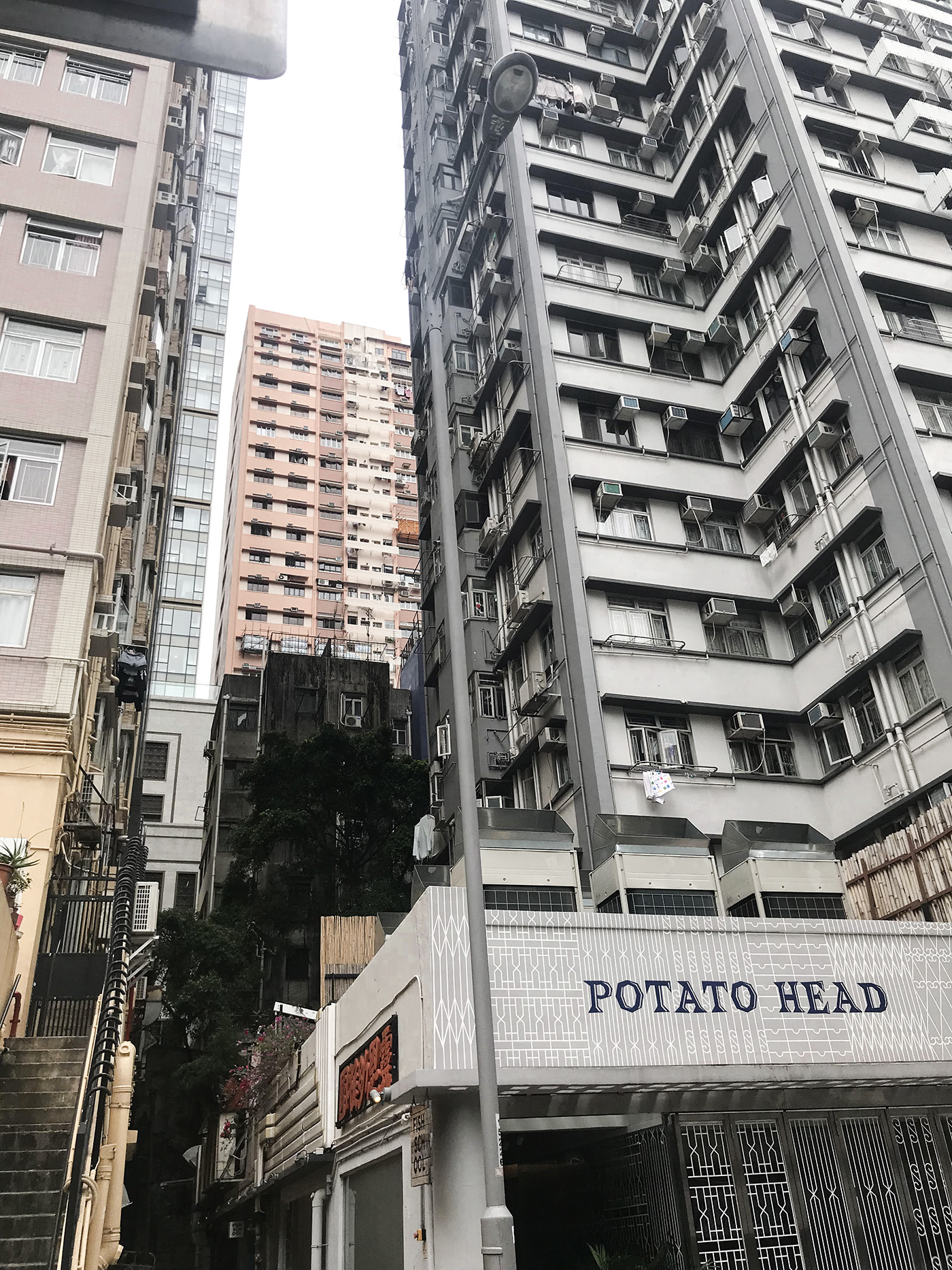 24 hours Hong Kong travel guide