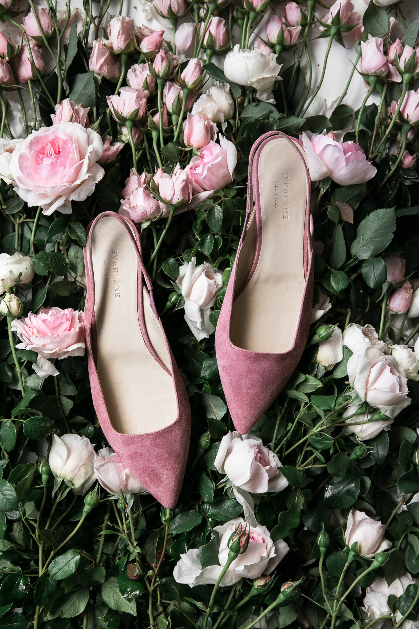 everlane editor slingbacks shoe review