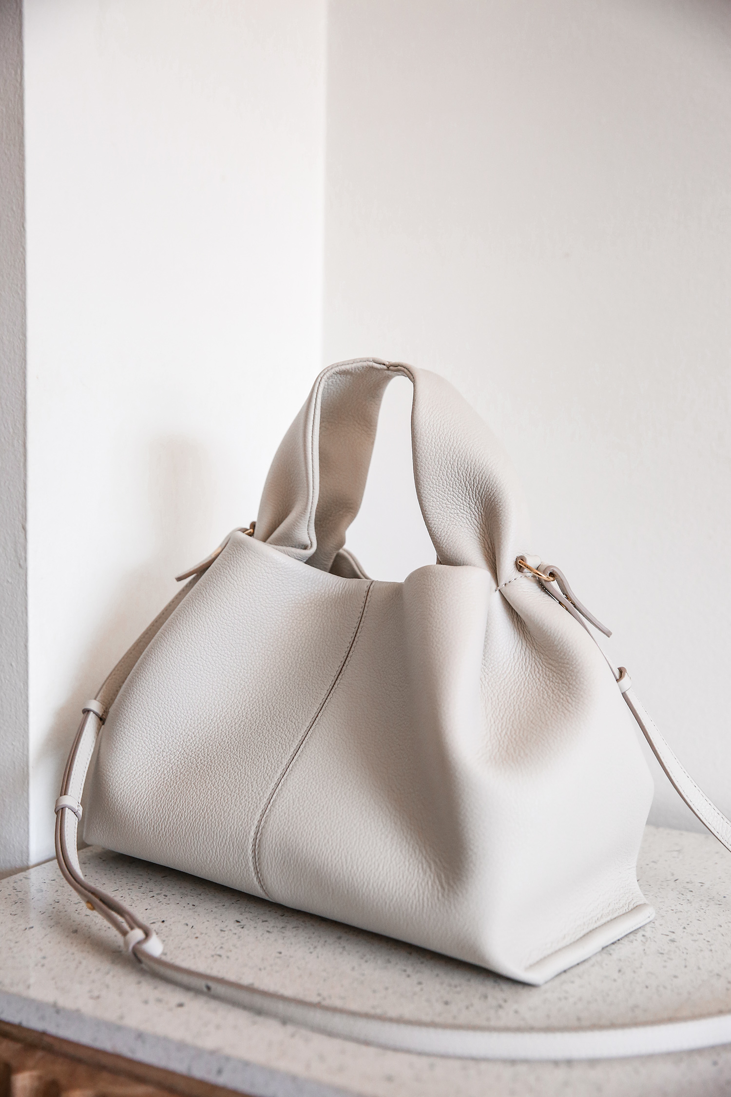 Polene Numero Neuf VS Numero Neuf Mini - Side by side bag comparison & what  fits in each bag 