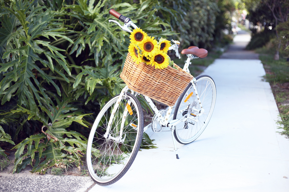 karen walker gold polka dot tokyo tokio bike
