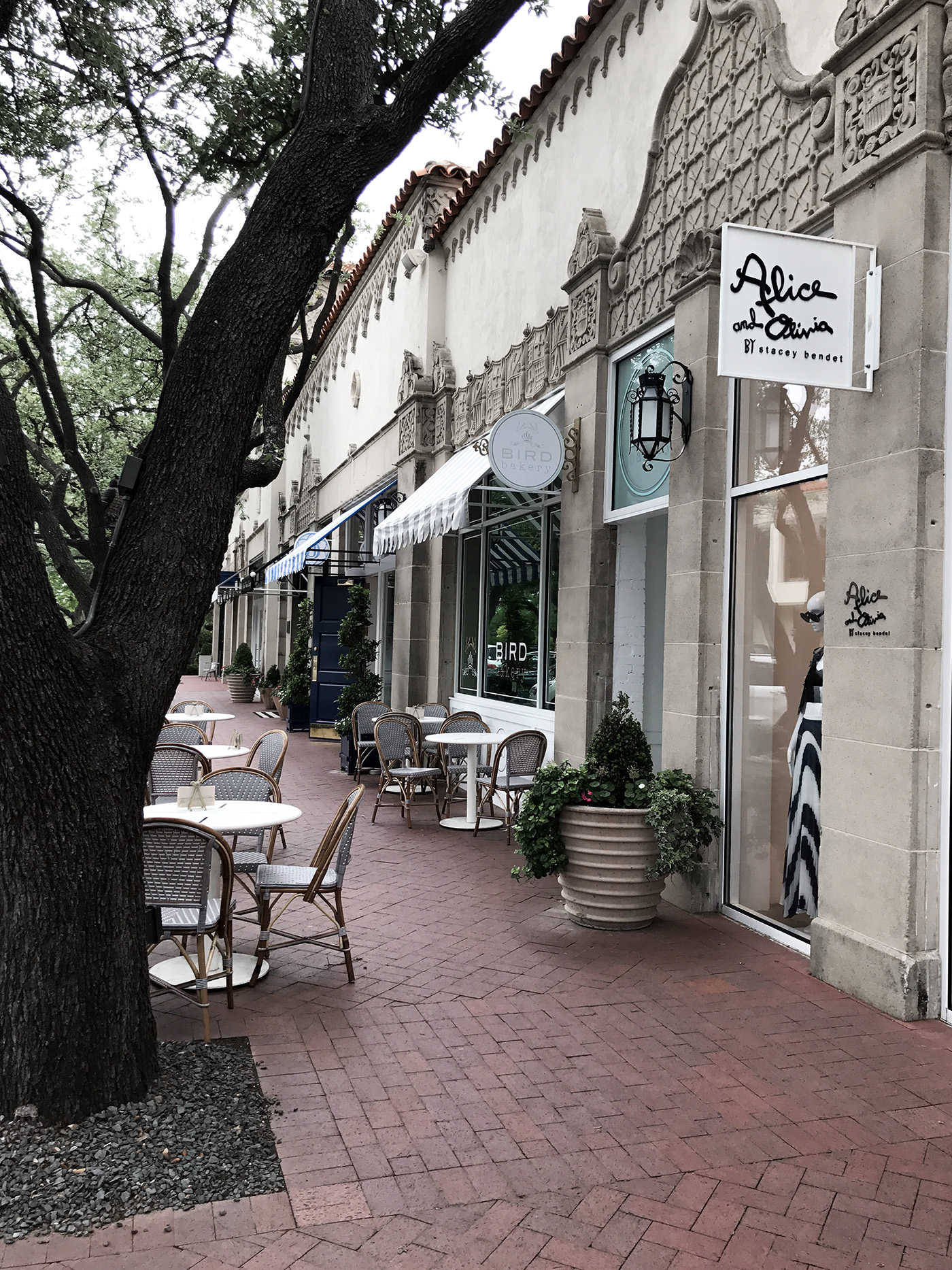 dallas travel guide shopping highland park village